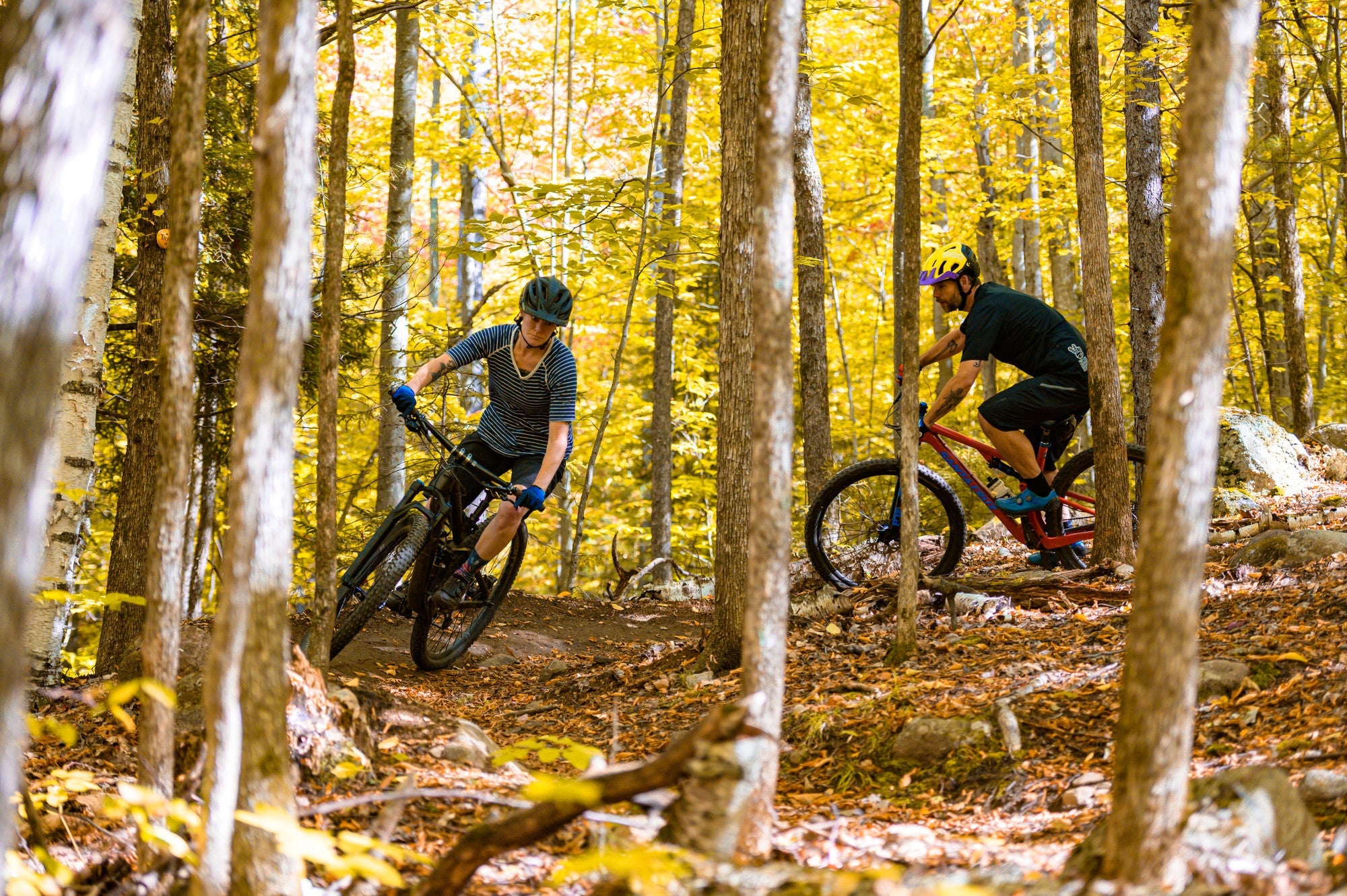 Mountain Bike Rentals
