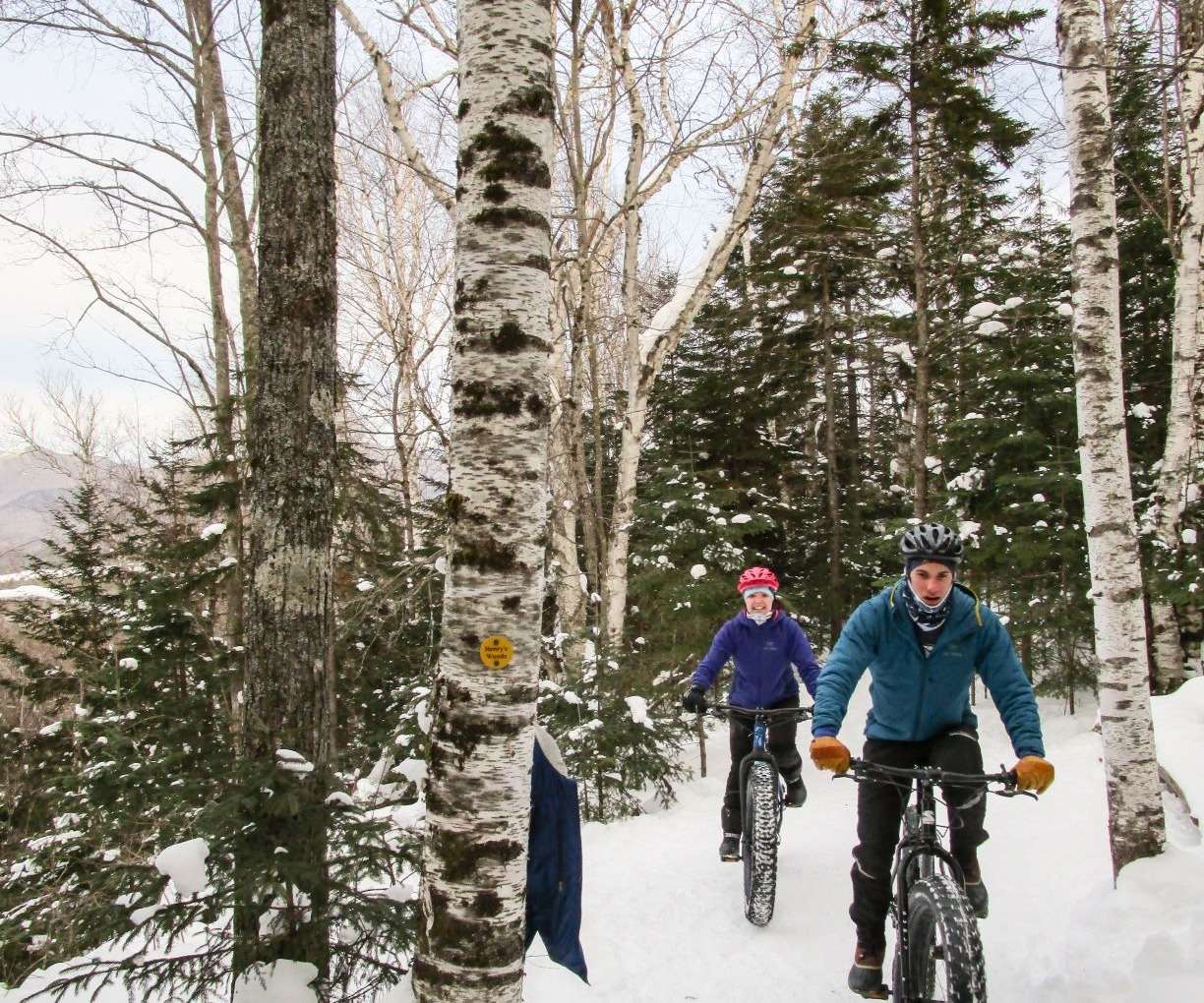 Fat Tire Bike Rentals