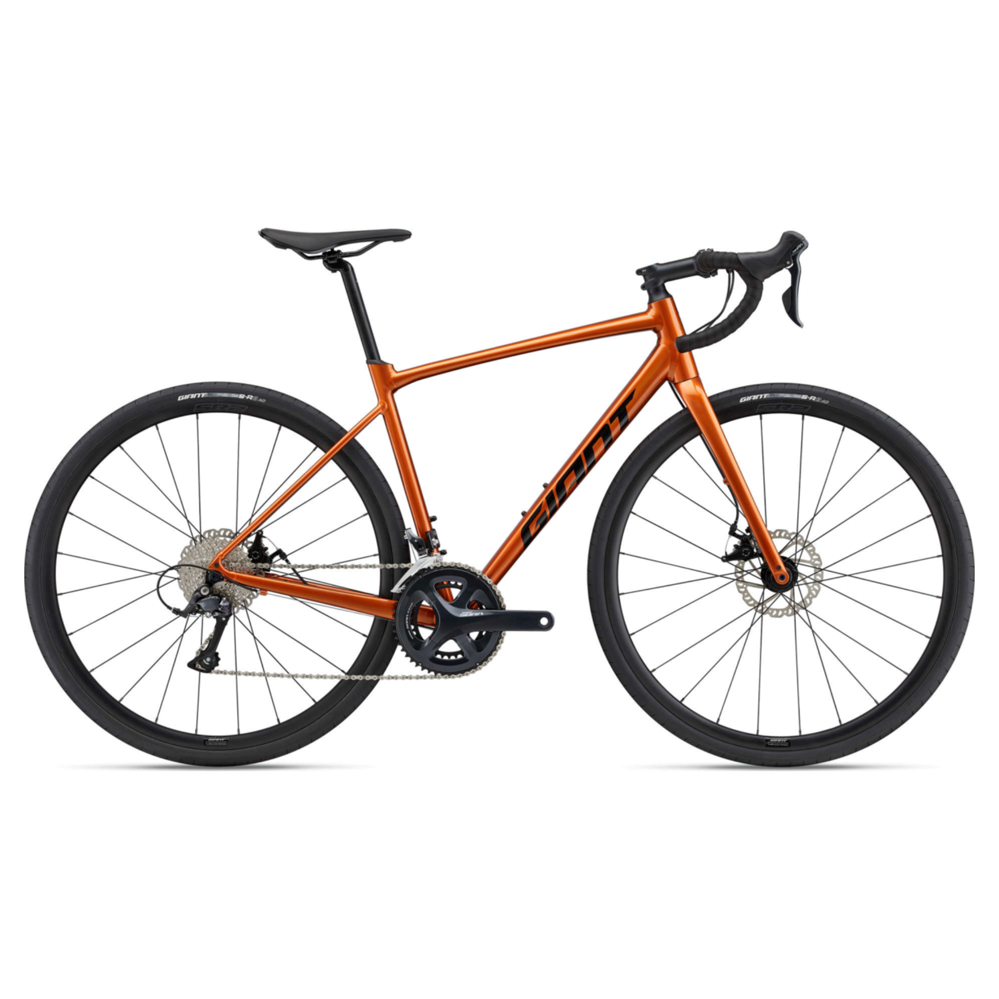 Aluminum Road Bike Rental
