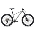 Hardtail Mountain Bike Rental