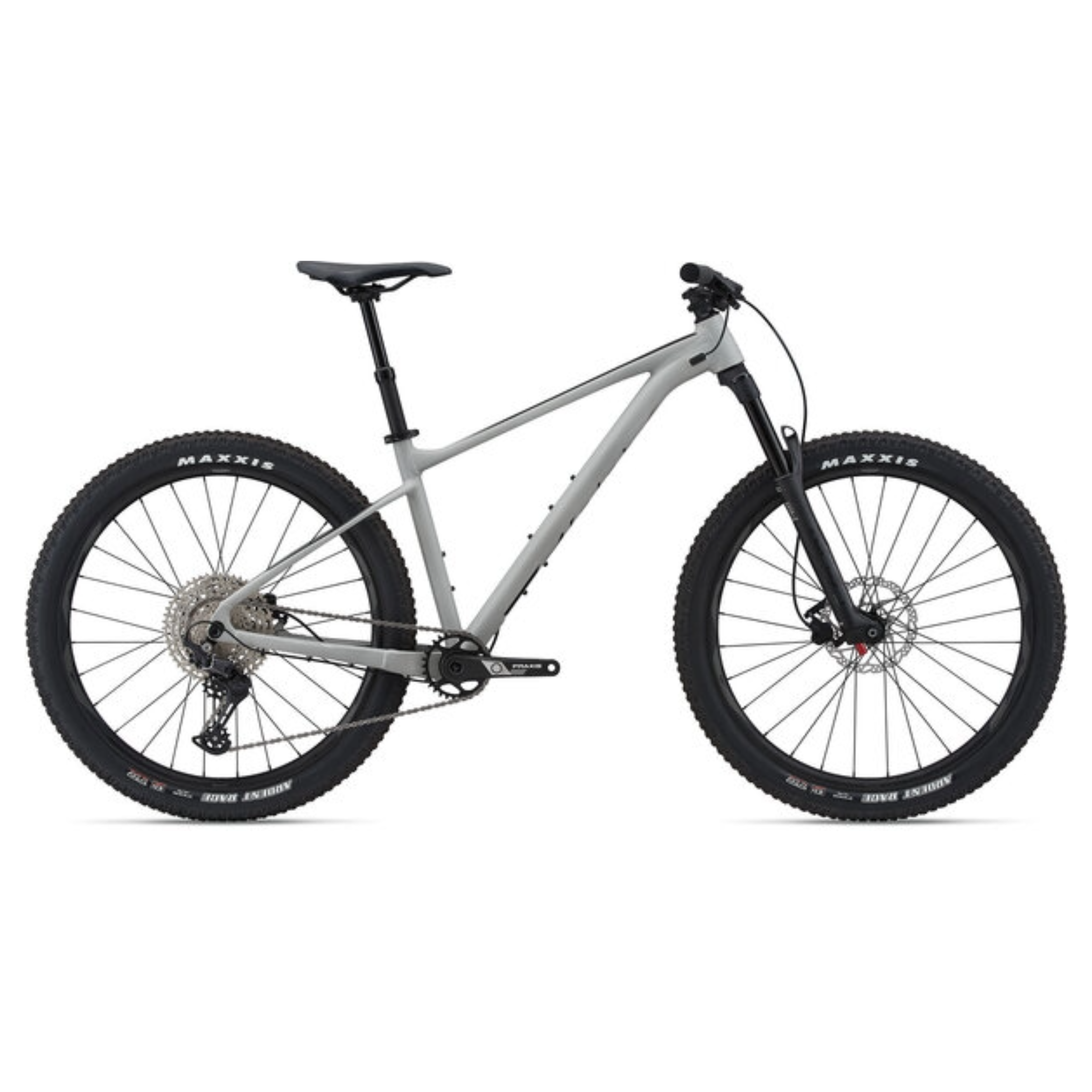 Hardtail Mountain Bike Rental