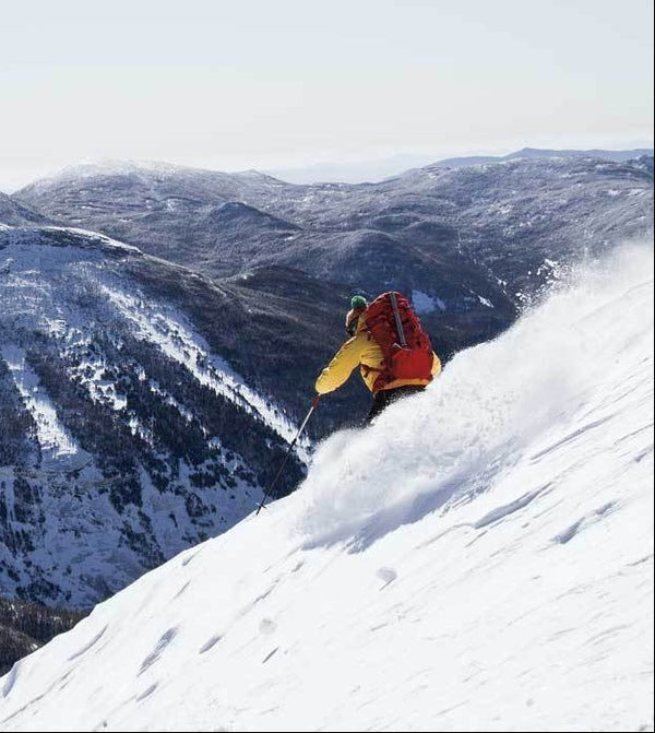Alpine Touring and Telemark Ski Rentals
