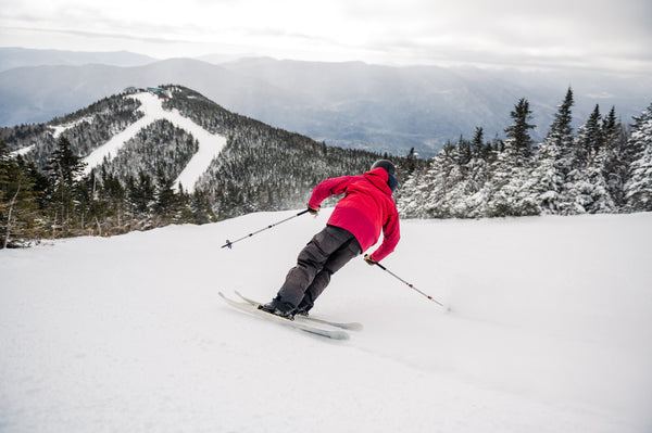 Alpine Demo Skis