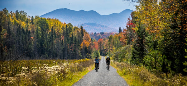 Rail Trail Bike Rentals