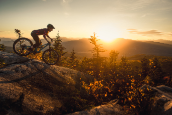 Mountain Bike Rentals